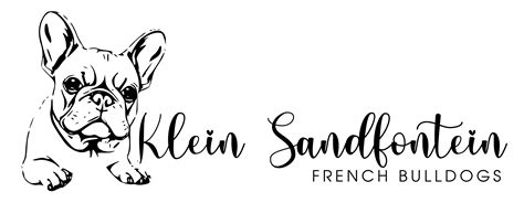 For Sale – Klein Sandfontein French Bulldogs
