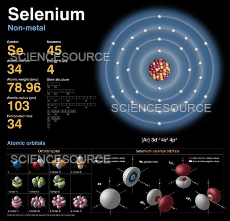 Selenium, atomic structure | Stock Image - Science Source Images