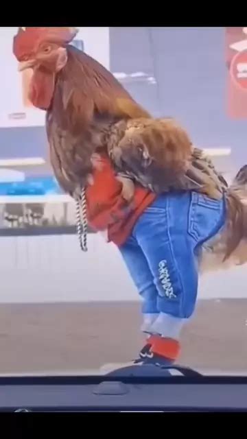 Jose Luis Ortiz Naked