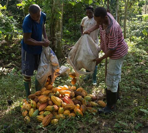 São Tomé und Príncipe Urlaub machen wo der Kakao herkommt