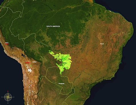 Onde Está Localizado O Pantanal - 10