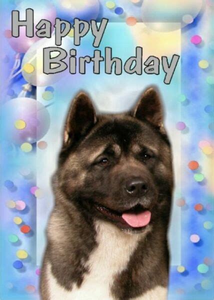 Akita Dog Design A6 Textured Birthday Card Bdakita 2 By Paws2print For