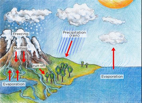 water cycle illustration   gr   natural sciences flickr
