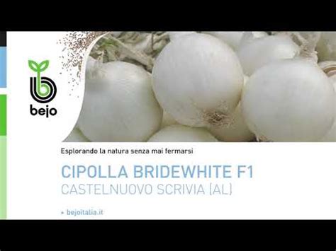 Bejo Italia Bridewhite F Castelnuovo Scrivia Al Youtube