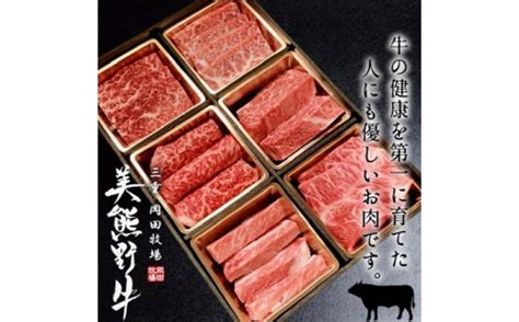 【美熊野牛】6種の部位が楽しめる食べ比べ焼肉セット カルビ ロース 赤身 お肉 黒毛和牛 牛肉 希少 和牛 焼肉 三重県熊野市 セゾン