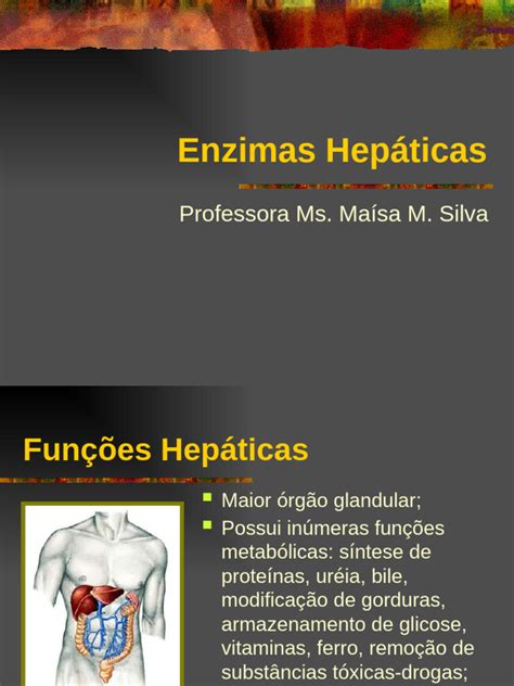 O Que É Enzimas Hepáticas - Enzimas Hepáticas e Hepatites: Funções e Diagnóstico | PDF | Hepatite ...