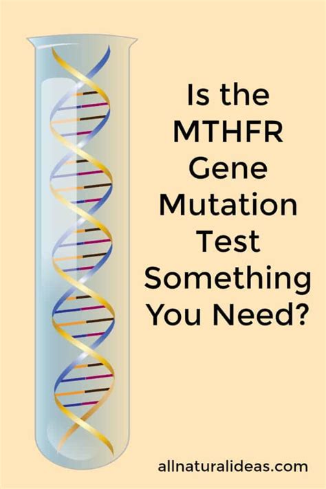 Is The Mthfr Gene Mutation Test Something You Need All Natural Ideas