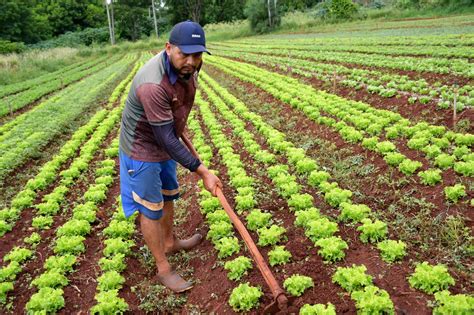 Campo Grande apresenta Hortas Urbanas e App de Conexão Produtor