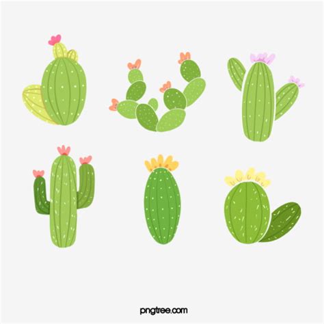 Combinaci N De Cactus Mexicanos Pintados A Mano Png Dibujos Cactus