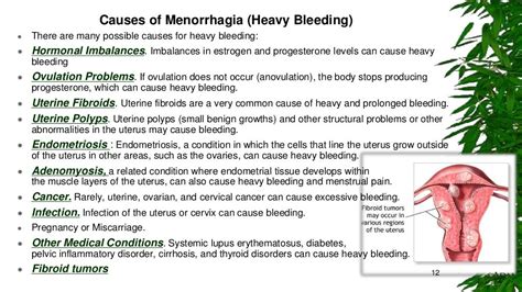 Menstrual cycle disorders