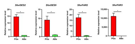 Relative Expression Levels Of Four Sex Pheromone Biosynthesis Genes Download Scientific