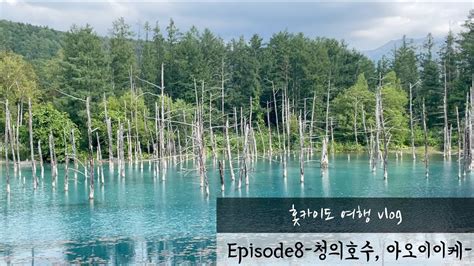 일본 홋카이도 여행 브이로그 Episode08 홋카이도 아이폰 배경화면 장소 가보기 청의호수 아오이이케 YouTube