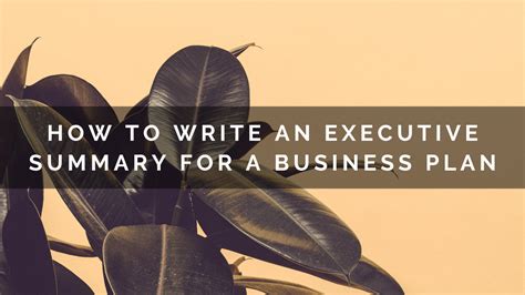 How To Write An Executive Summary For Your Small Business Plan