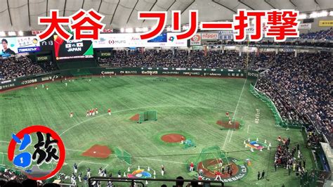 侍ジャパン3 10大谷翔平 バッティング練習 WBC 日本 韓国戦 フリー打撃 Shohei Ohtani WBC 2023 vs