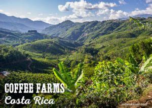 Coffee farms, Costa Rica • James Kaiser