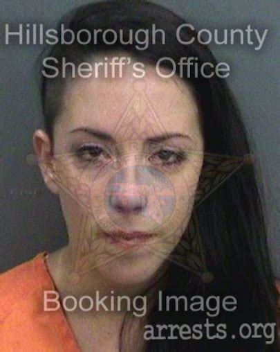 Porn Star Mugshots Nsfw Bailey Of American College Sex