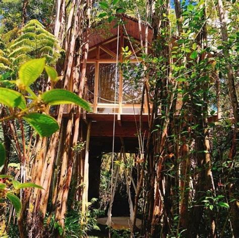 15 Amazing Treehouse Hotels And Lodges For A Terrific Eco Friendly Stay In 2020 Tree House