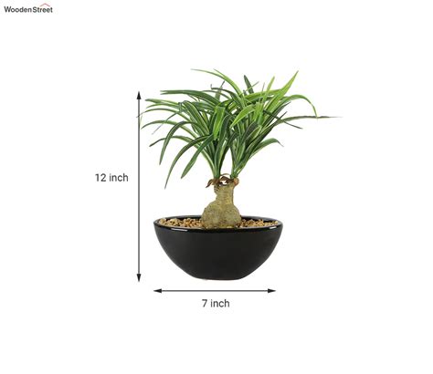 Buy Artificial Natural Looking Nolina Bonsai Plant with Ceramic Pot ...