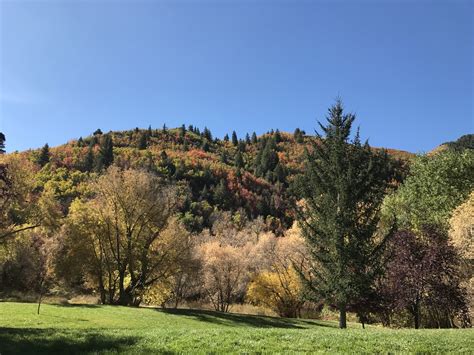 The Adventure: Provo Canyon in the Fall.