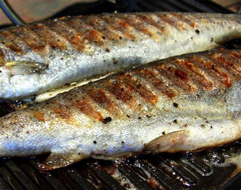 How to Cook Trout on the Grill - Food.com