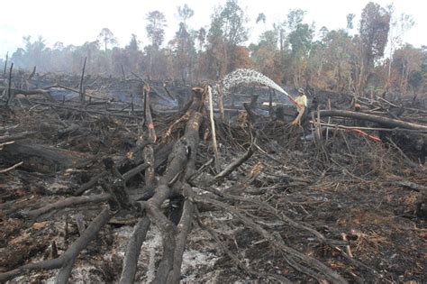 Puncak Musim Kemarau Di Indonesia Diprediksi Juli Agustus Ini