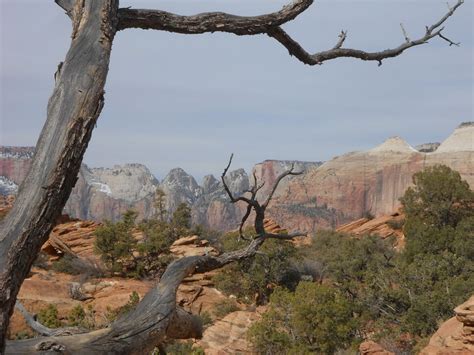 Canyon Overlook Trail Zion National Park – National Parks Blog