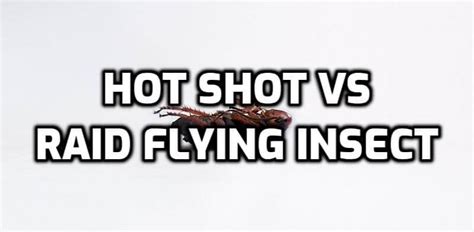 Hot Shot Vs Raid Flying Insect The Ultimate Guide