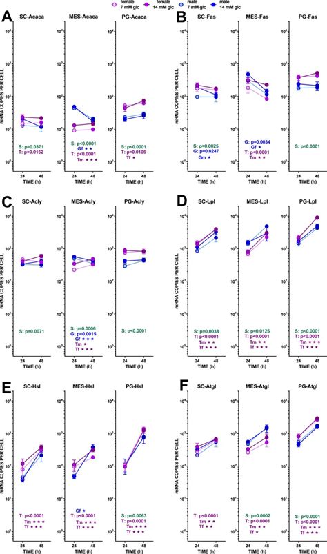Effect Of Sex On Glucose Handling By Adipocytes Isolated From Rat Subcutaneous Mesenteric And