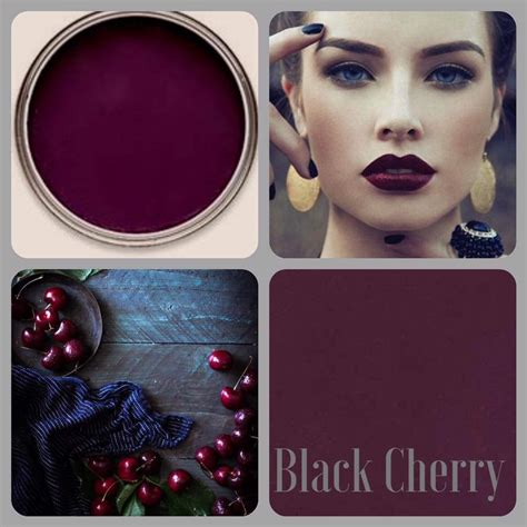 Black Cherry Paint Color Charts