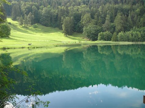 無料画像 風景 木 自然 森林 荒野 草原 田舎 丘 川 山脈 国 夏 春 緑 反射 風光明媚な 貯水池