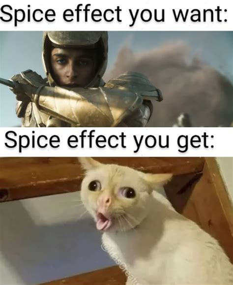 7 Meme Kucing tentang Film Dune, Ada yang Cosplay!