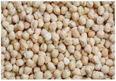 White Organic Kabuli Chana For Cooking At Best Price In Indore Rajesh