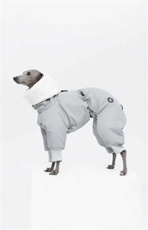 Зимние комбинезоны — White Hound Store