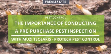 The Importance Of Conducting A Pest Inspection Before Purchasing A