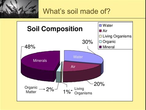 Ppt Soil Powerpoint Presentation Free Download Id9143717