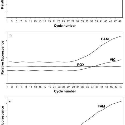 Time Course Of Rt Pcr Reactions For The Three Mc4r Genotypes A Download Scientific Diagram