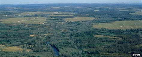 Aroostook National Wildlife Refuge