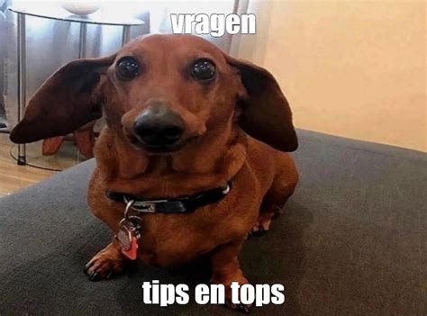 Meme Vragen Tips En Tops All Templates Meme Arsenal