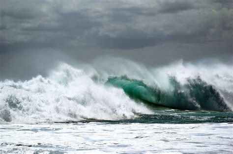 Between Birds of Prey #156 - The dialogue of the wind and the sea