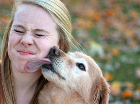 Por Qué No Debes Dejar Que Tu Mascota Te Lama La Cara Salud180