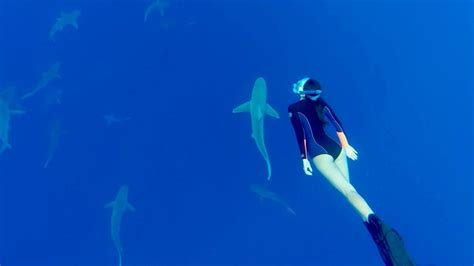 Swim-with-sharks-oahu - Alex Cerball