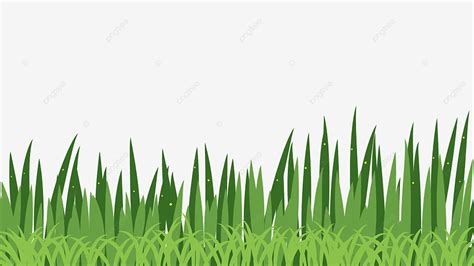 Green Grass Plants White Transparent Grass Spring Growth Plant Green