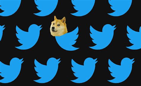 Why Was Twitter Logo Changed To Doge Dog? All You Need To Know ...