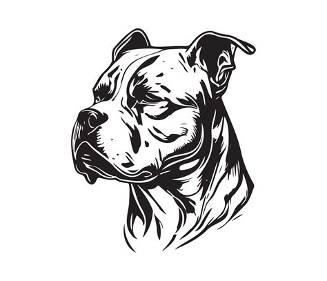 American Pit Bull Terrier Face Silhouettes Dog Face Black And White