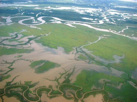 File:Mitchell River delta-2.jpg