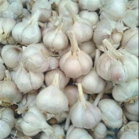 Bawang Putih Kating Cutting Fresh 1 2 Kilogram 500G Lazada Indonesia