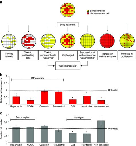 Characterization Of A Novel C Fdg Single Cell Sa Gal Drug