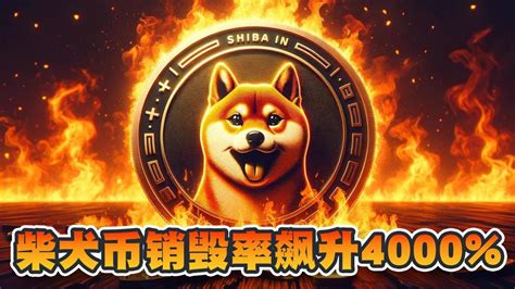 柴犬币销毁率飙升4000！大大增加柴犬币稀缺性！shib将变得更有价值？柴犬币现货etf有望推出？｜cryptonews Youtube