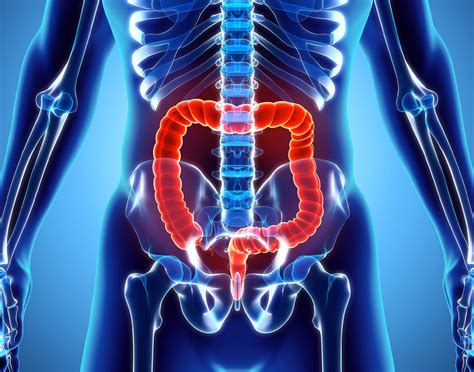 Reabilitação intestinal de indivíduos intestino neurogênico D