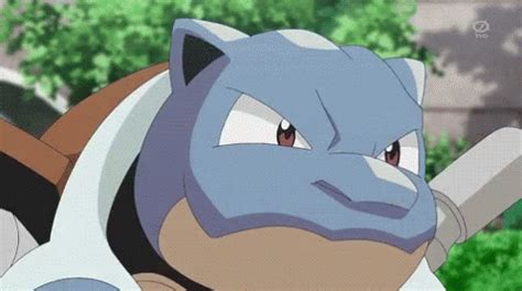 Pokemon Squirtle Pokemon Squirtle Fire Discover Share Gifs